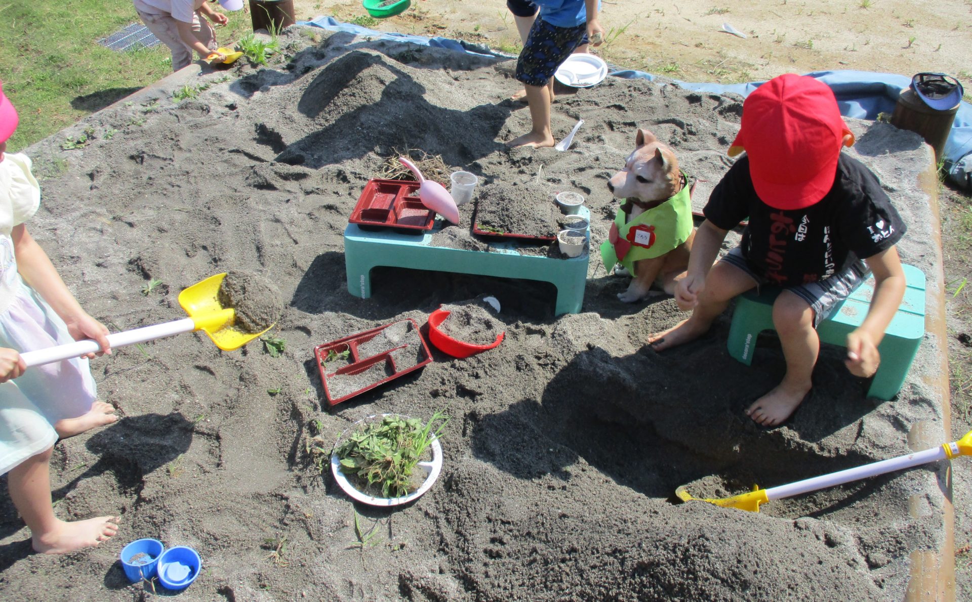 ごろうを探せ！！